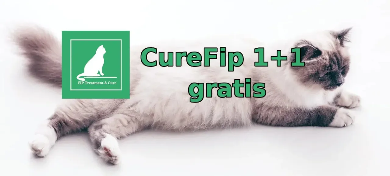 Zdjęcie Gdzie kupić lek gs na fip? Sprawdź legalne źródła w Polsce