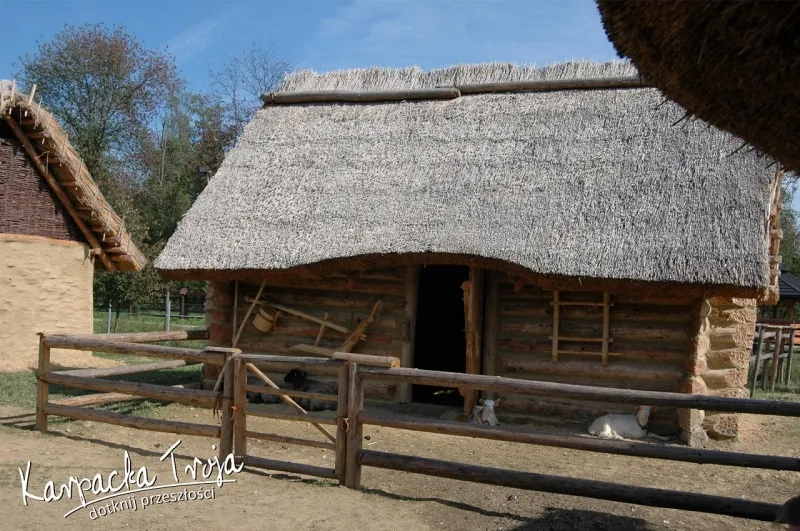 Zdjęcie Skansen Archeologiczny Karpacka Troja - historia i atrakcje dla odwiedzających