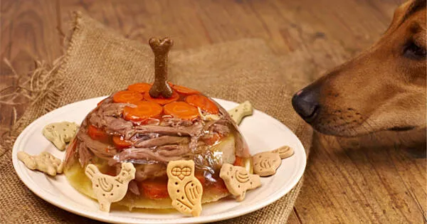 Domowe przysmaki z żelatyny dla psa