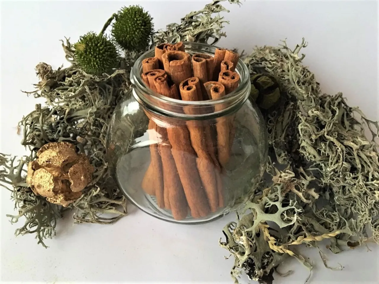 Cynamon cejloński i laski cynamonu