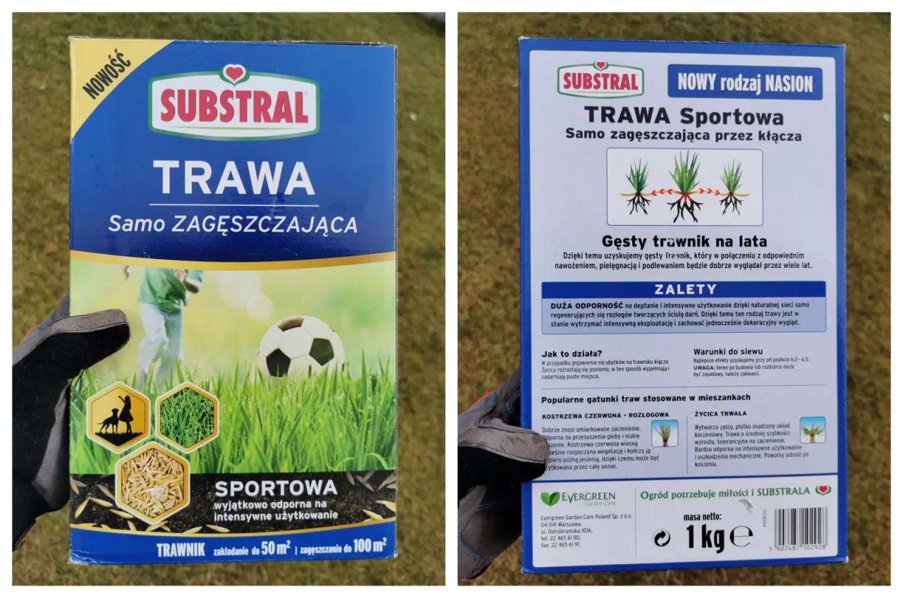 podlewanie młodego trawnika