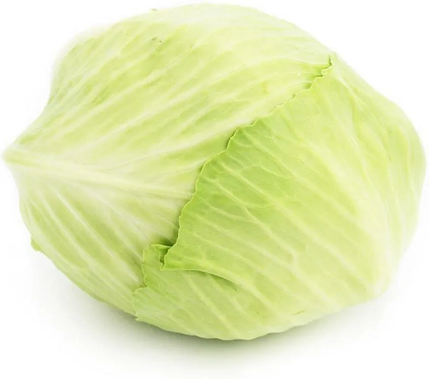 świeża biała kapusta