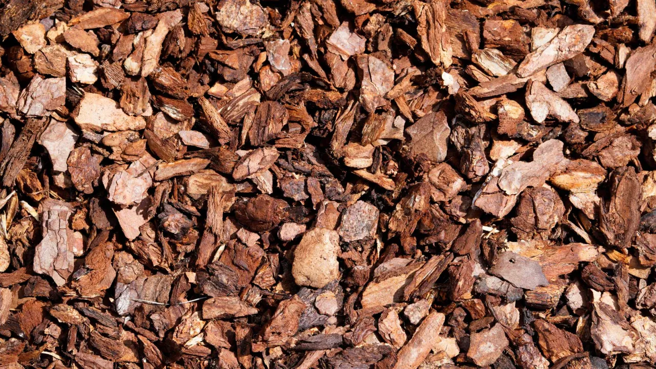 Kora sosnowa, idealna kora pod tuje, tworzy naturalną ściółkę.