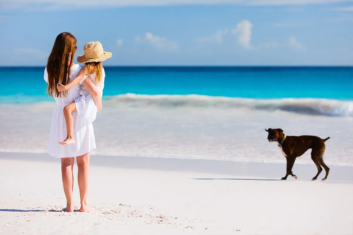 Photoshop Content-Aware Fill example before after