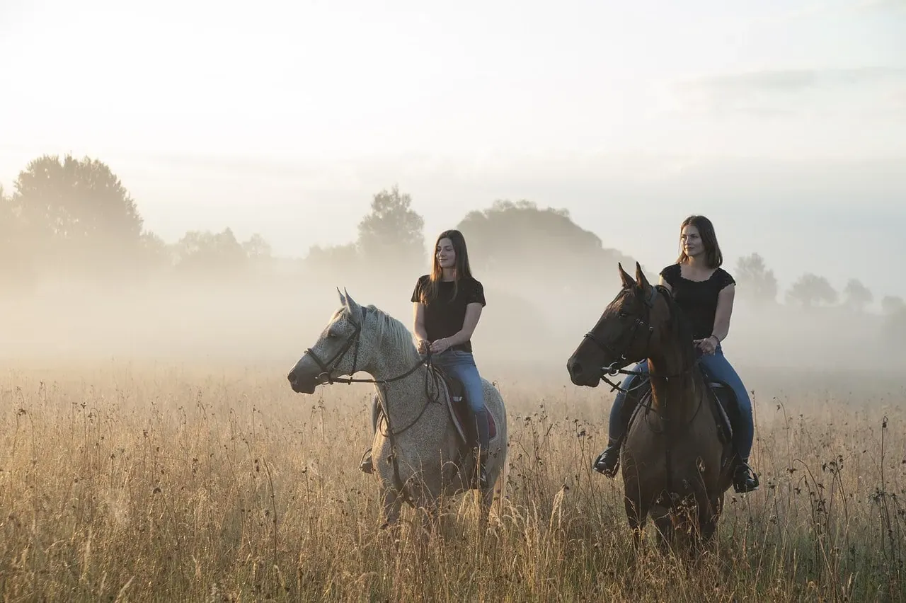 Planowanie wyjazdu konnego Bieszczady