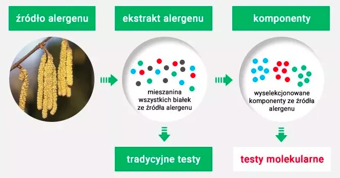 Testy alergiczne diagnostyka moleularna