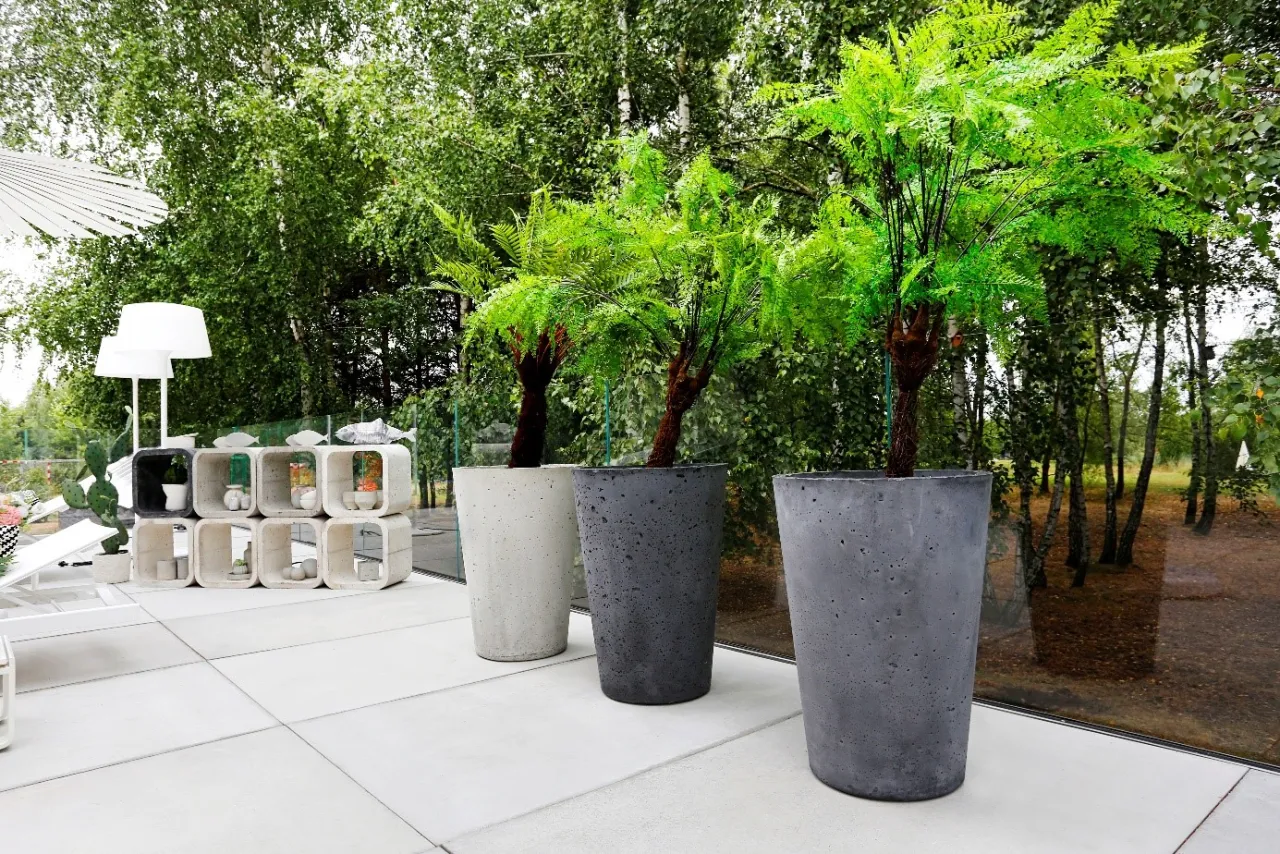 Wyb&oacute;r donicy i sadzenie drzewa na tarasie