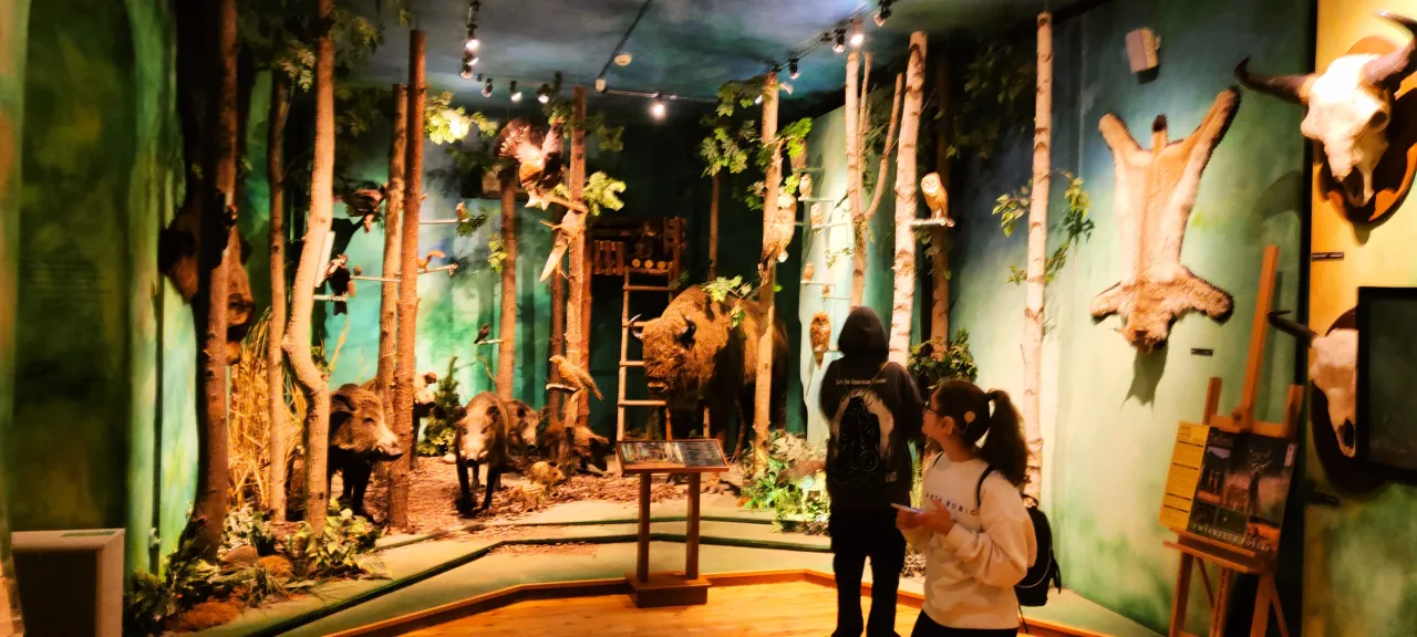 Dojazd do Muzeum Łowiectwa i Jeździectwa