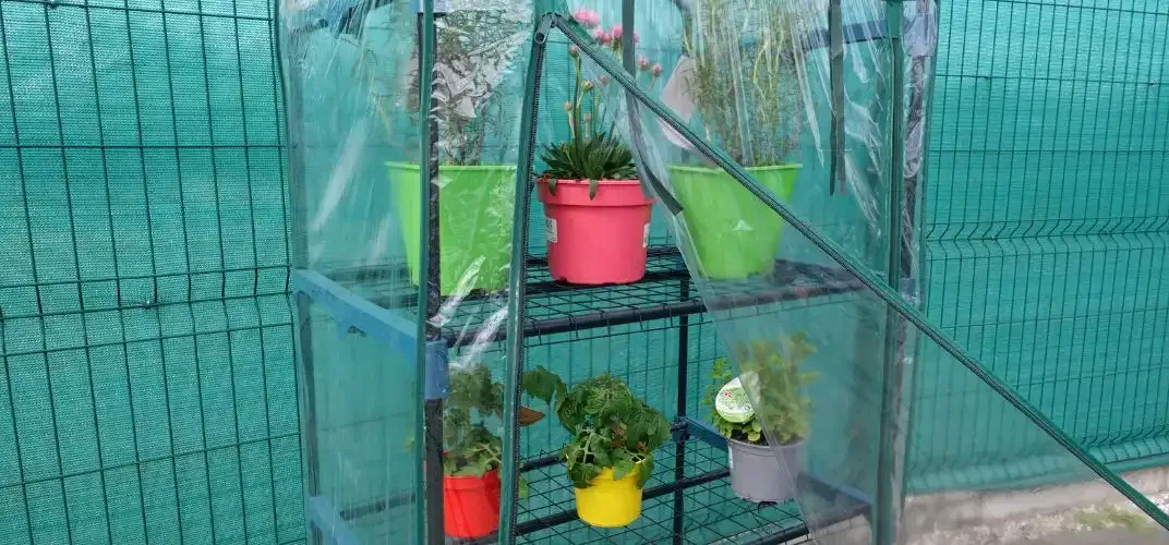 Rośliny do szklarni balkonowej