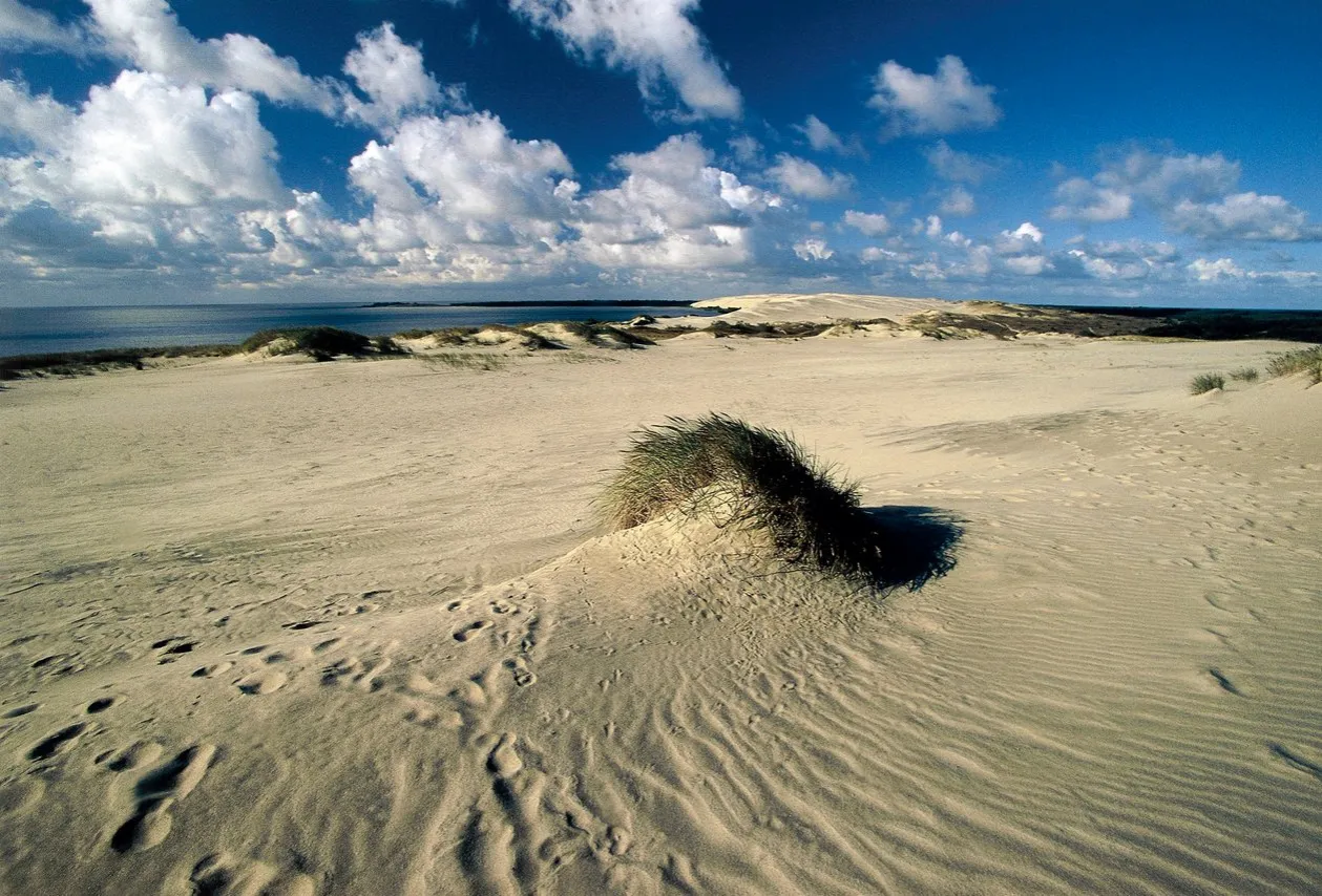 mierzeja kurońska wydmy nida