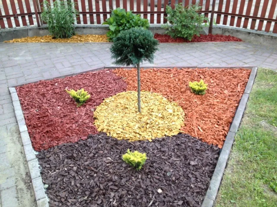 mulcz dekoracyjny w doniczce przed i po