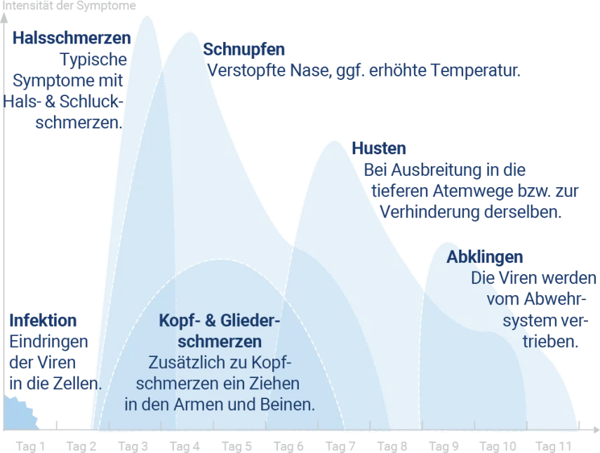 Unterschied Reizhusten produktiver Husten Illustration