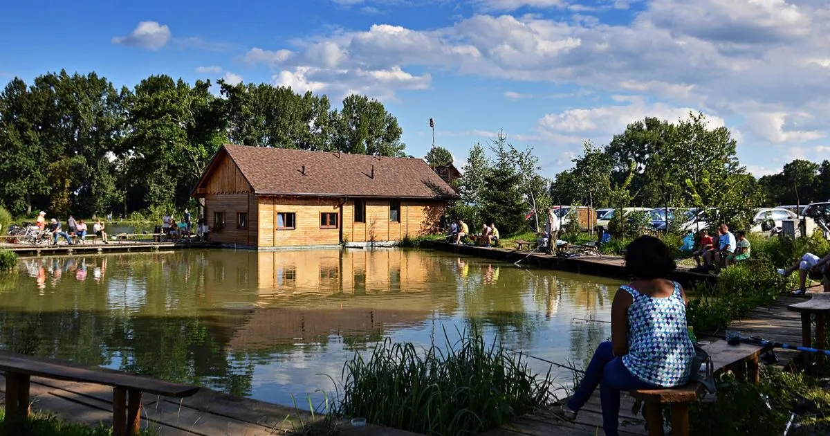 łowisko komercyjne wędkowanie bez karty