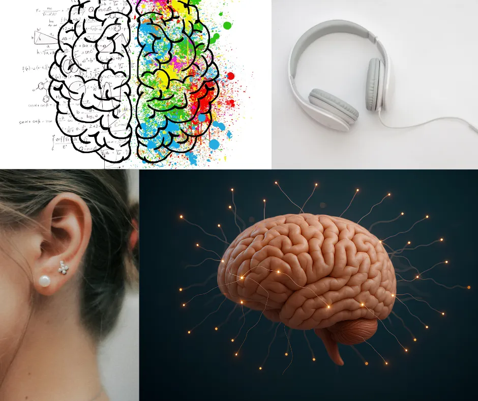 mózg przetwarzanie dźwięku