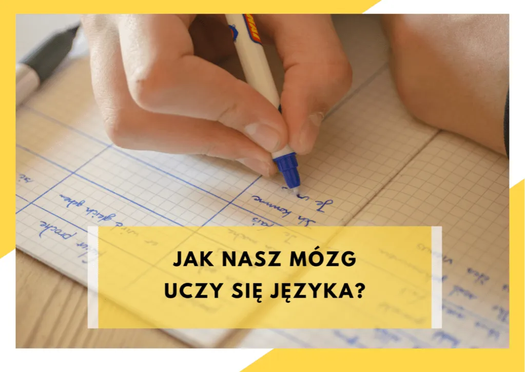 Zdjęcie Jak mózg uczy się języka i wpływa na nasze zdolności poznawcze