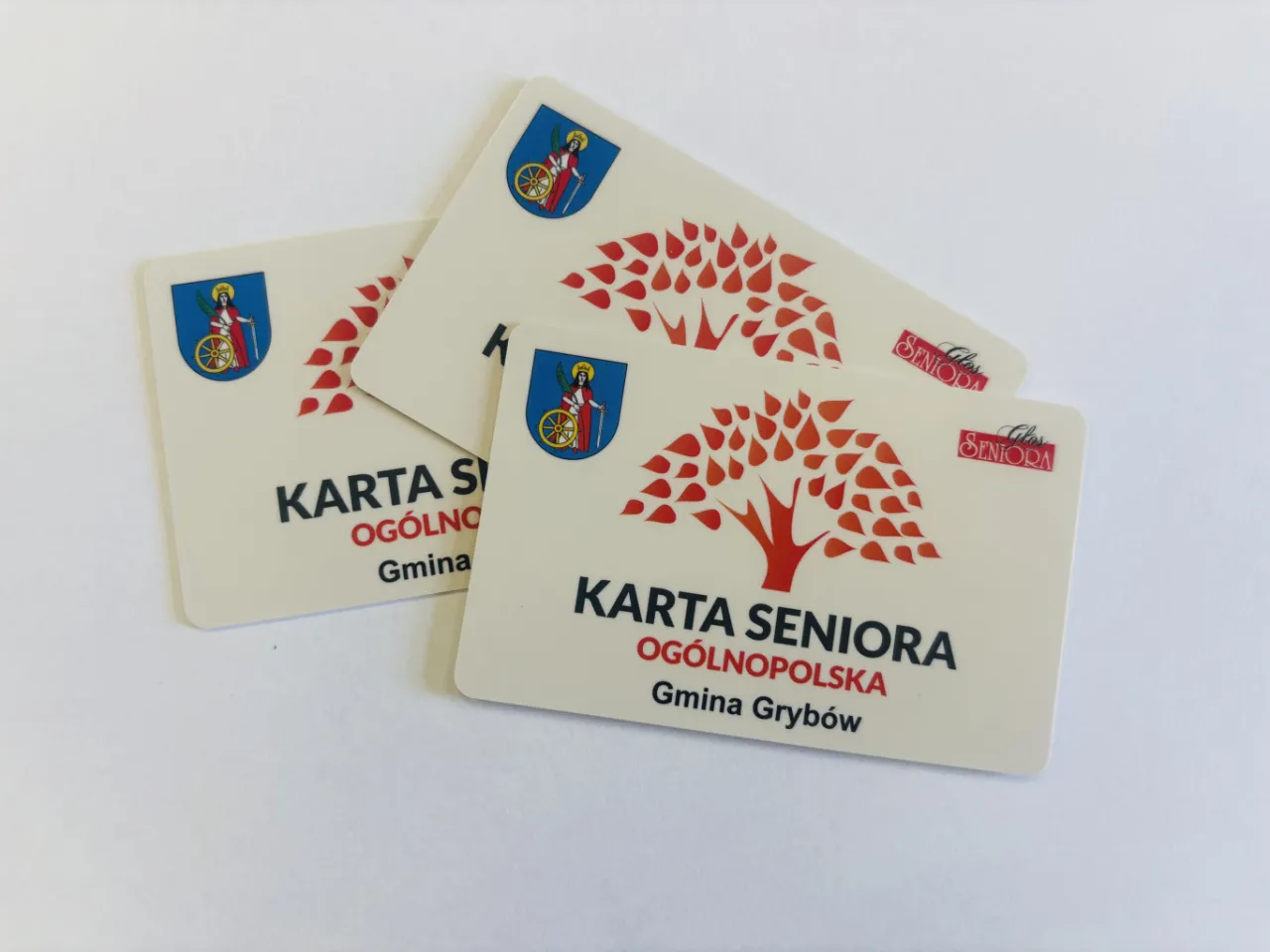 Karta Seniora &ndash; jak wyrobić? Na zdjęciu trzy karty z napisem 