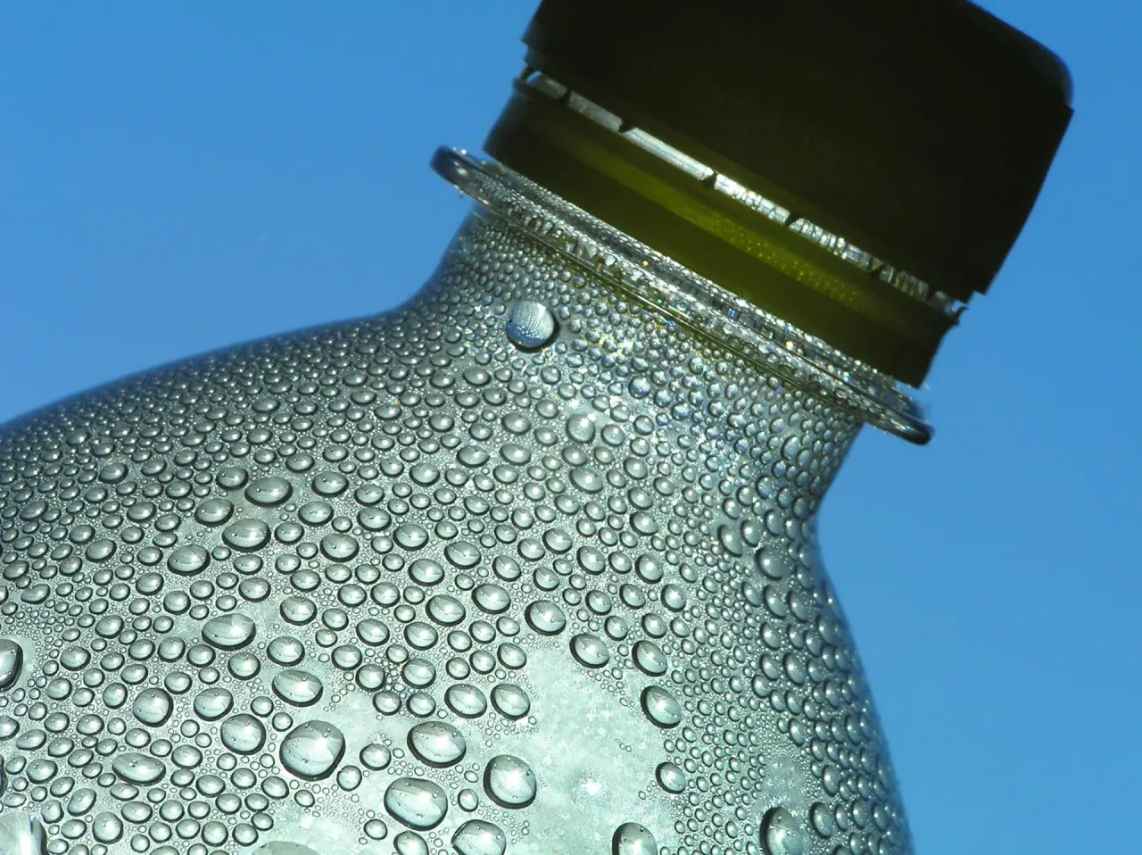 nap&oacute;j z chininą, gorzki smak, historia toniku