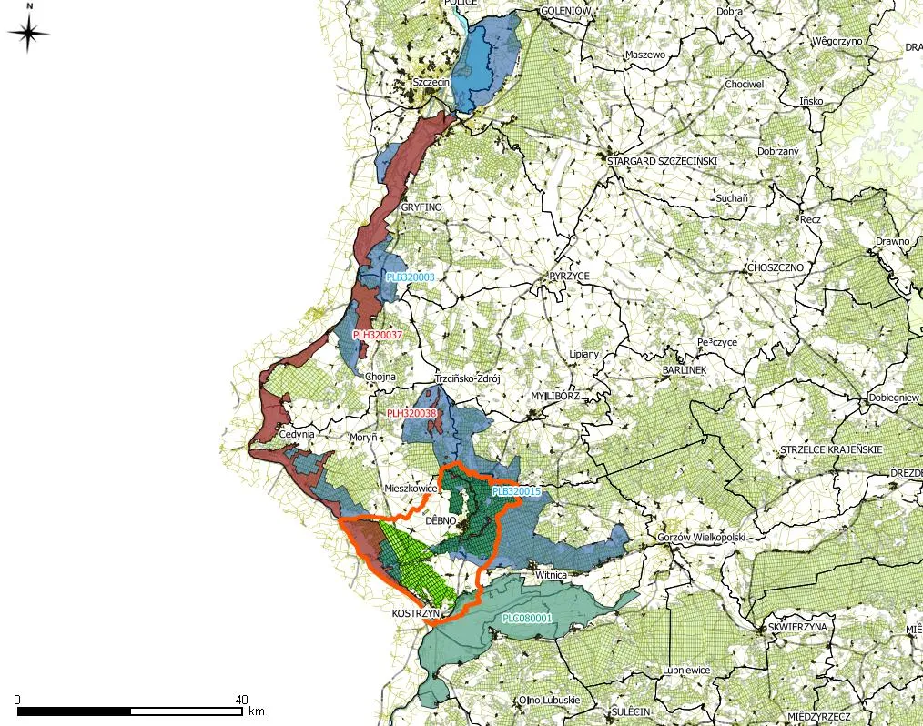 Mapa Odry w Szczecinie podział na odnogi