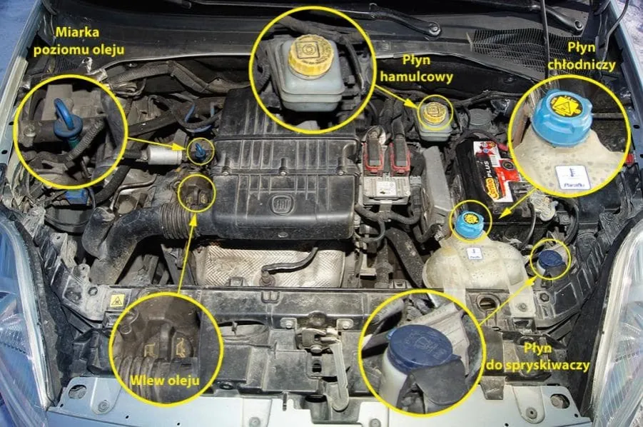 Lokalizacja chłodnicy samochodowej pod maską