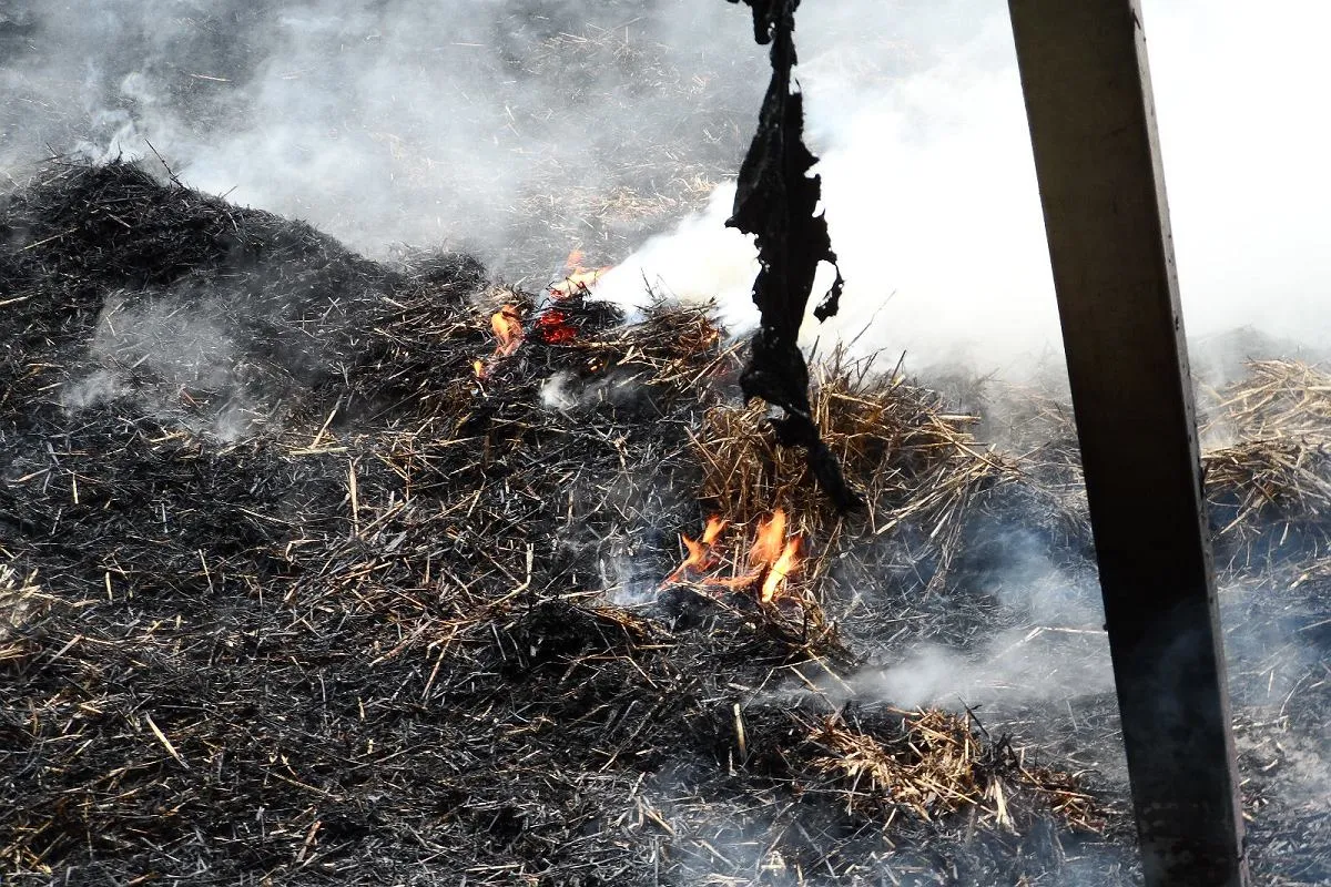 pożar stajni konie ratunek
