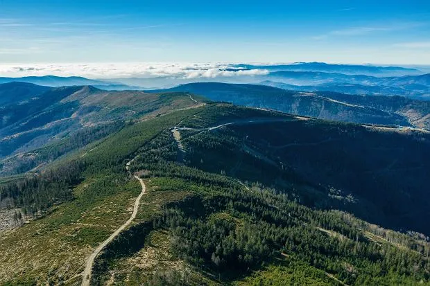Skrzyczne szlak zielony widoki las
