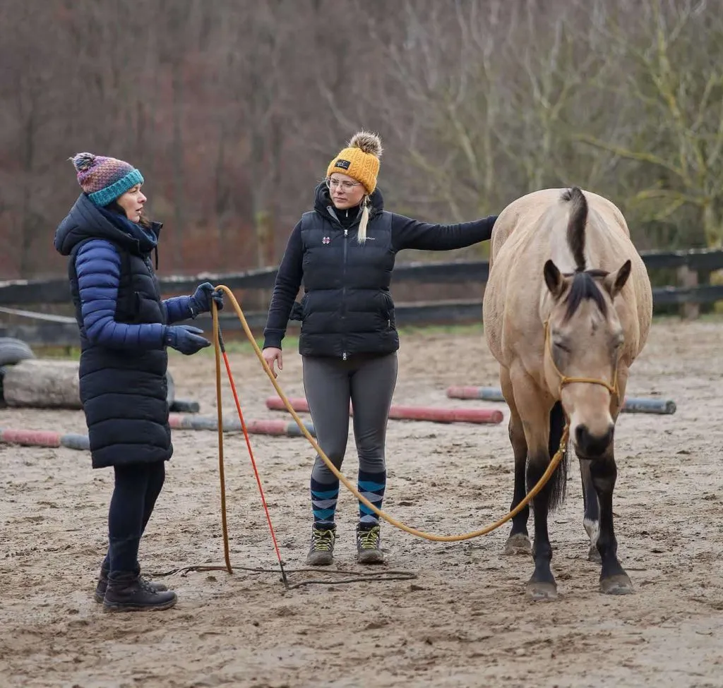 nauka jazdy konnej dzieci dorośli