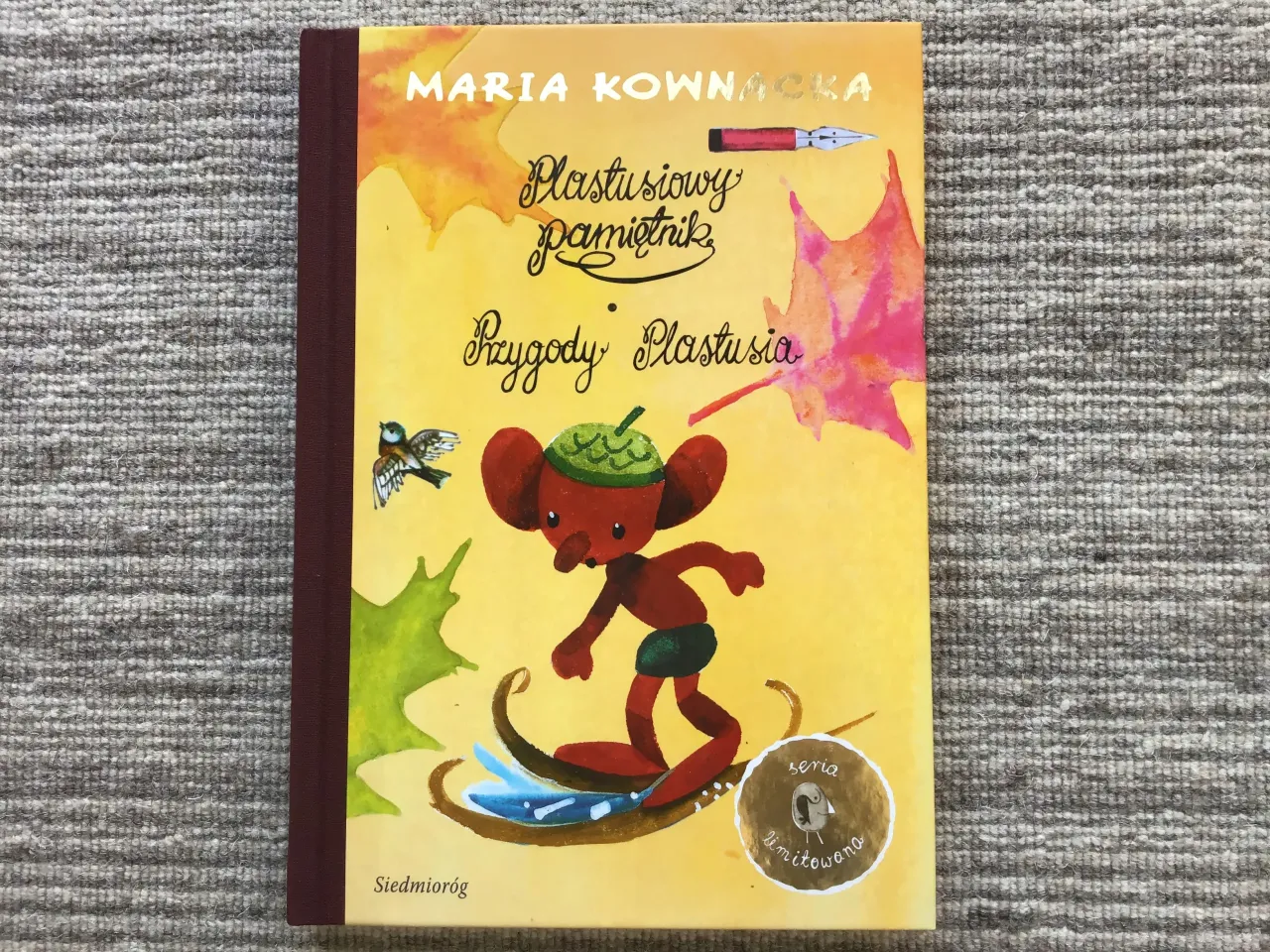 Plastusiowy pamiętnik okładka