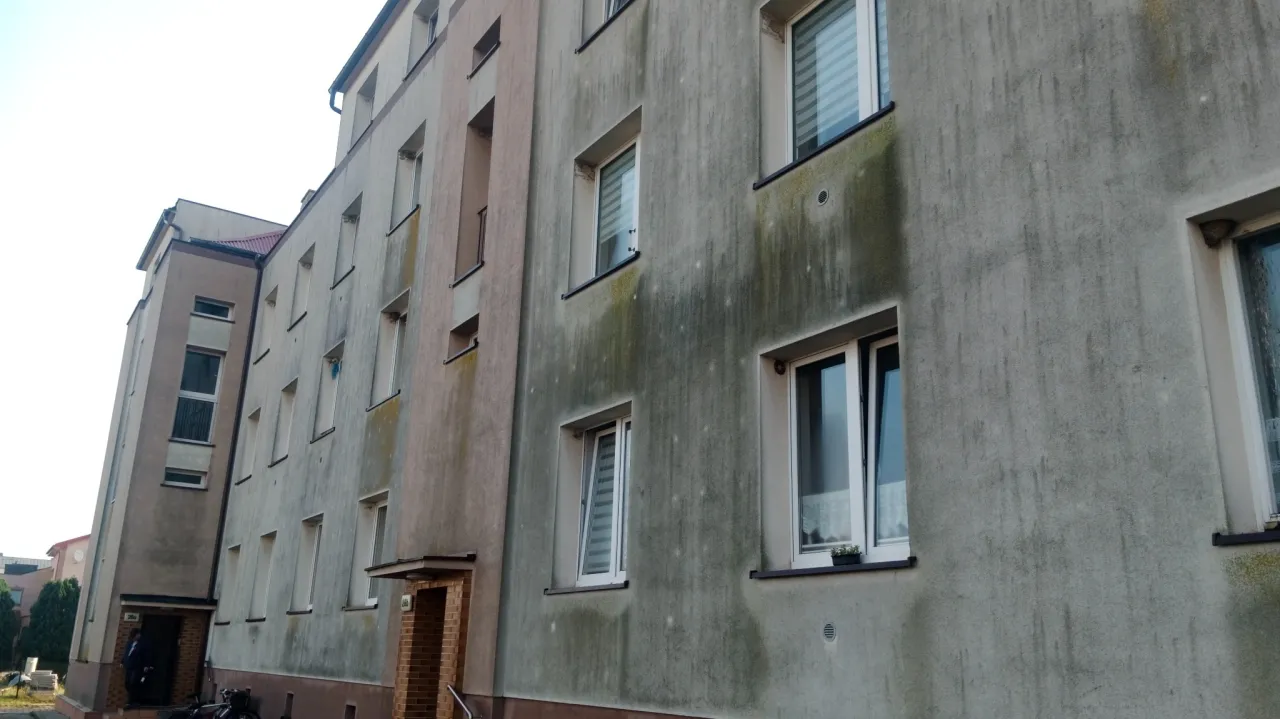 Budynek mieszkalny z widocznymi zaciekami i pleśnią