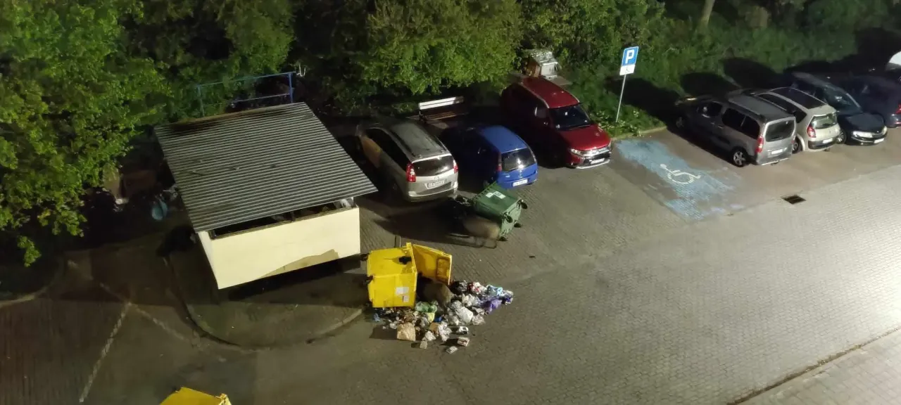 zabezpieczone śmietniki przed dzikami