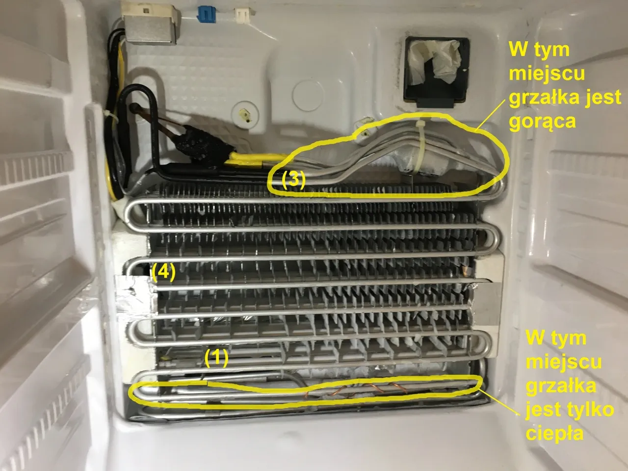 nieszczelna uszczelka zamrażarki oblodzony parownik