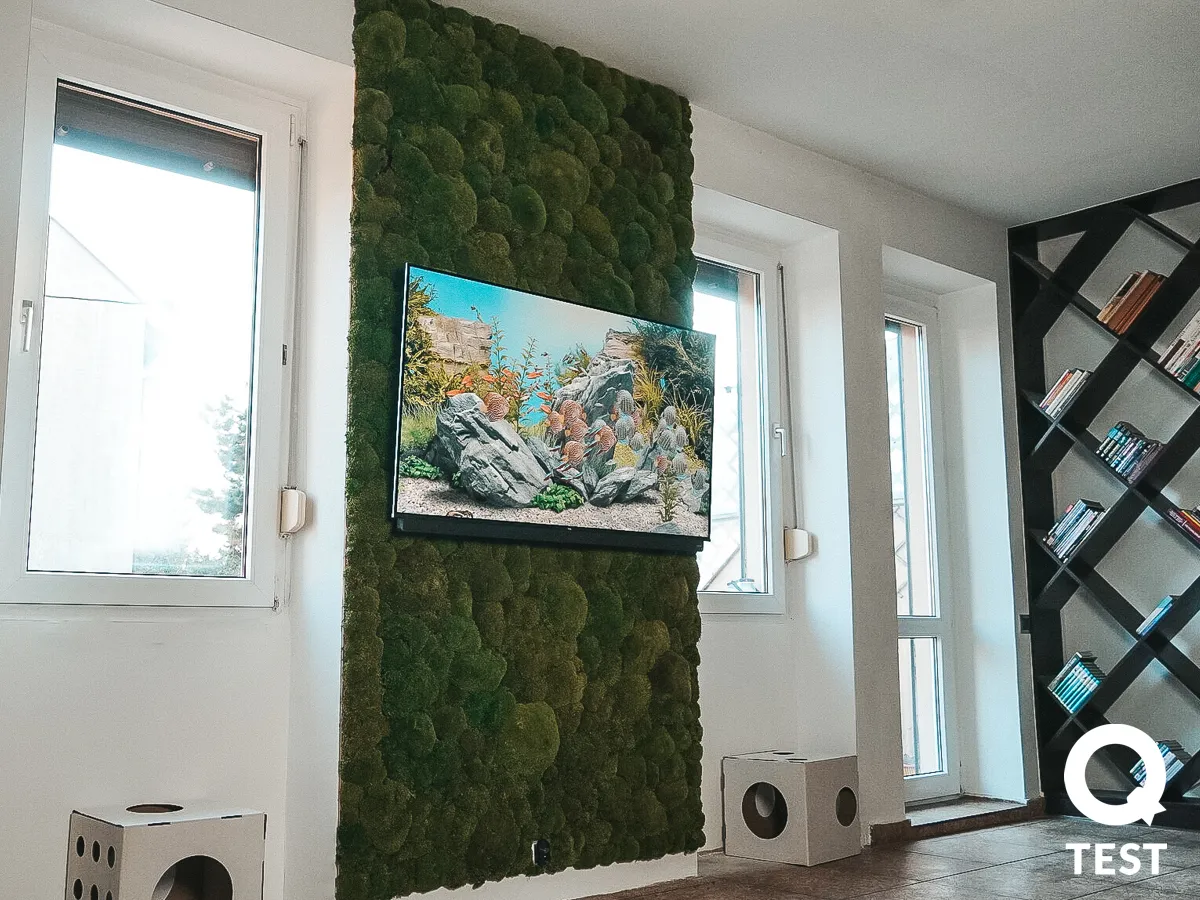 Zdjęcie Jak zrobić ciekawą ścianę w domu: 8 kreatywnych pomysłów na metamorfozę