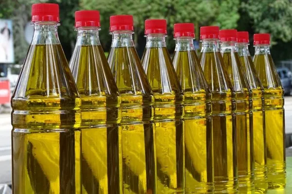 Zdjęcie Co to są sterole roślinne i jak mogą obniżyć cholesterol?