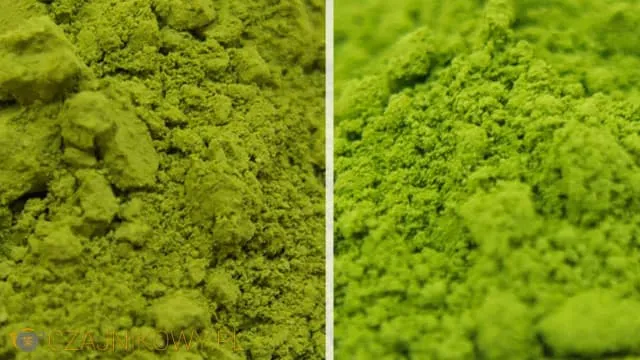 Zdjęcie Najlepsza herbata matcha - wybierz idealny smak i jakość dla siebie