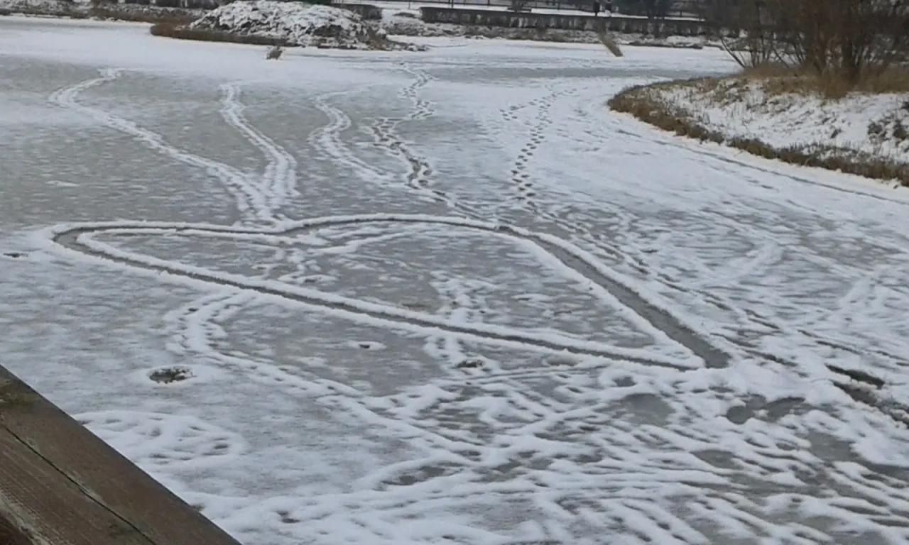 Zdjęcie Jakie oblicze zimy widzisz teraz za oknem? Zobacz jej magię