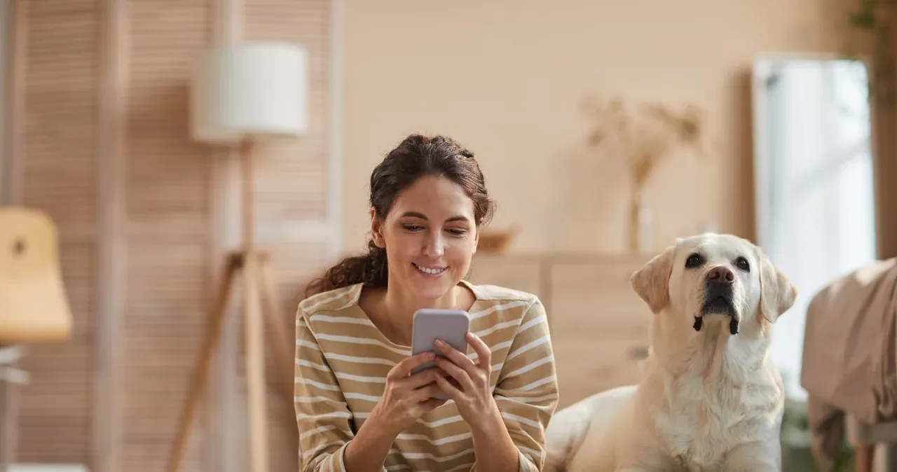 Zdjęcie Jak połączyć telefon z telewizorem przez wifi bez zbędnych problemów
