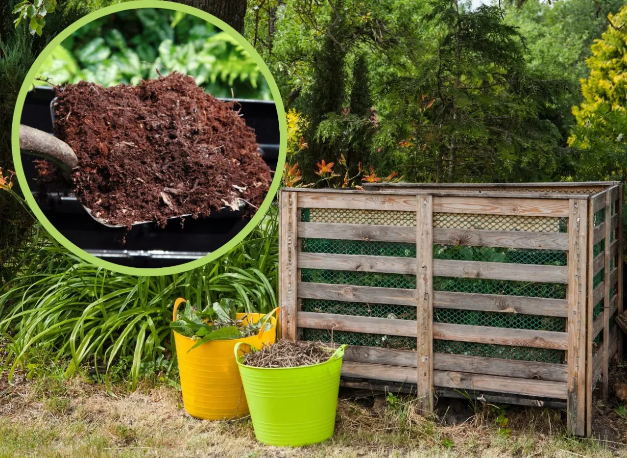 Zdjęcie Kiedy kompost jest gotowy? 5 niezawodnych oznak dojrzałości