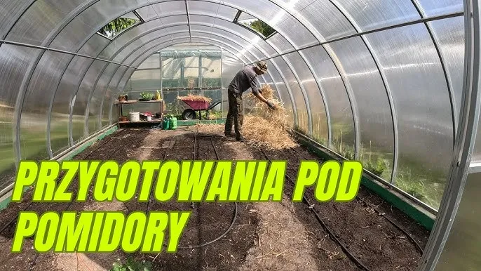 Zdjęcie Jak przygotować ziemię pod pomidory w gruncie, aby uniknąć błędów