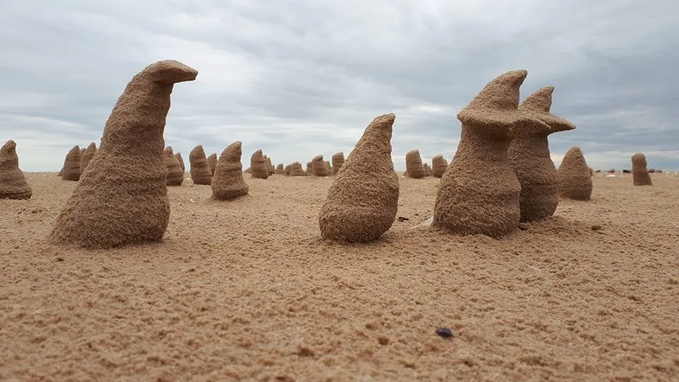 Zdjęcie Niezwykłe rzeźby z piasku na plaży, które musisz zobaczyć tej lata
