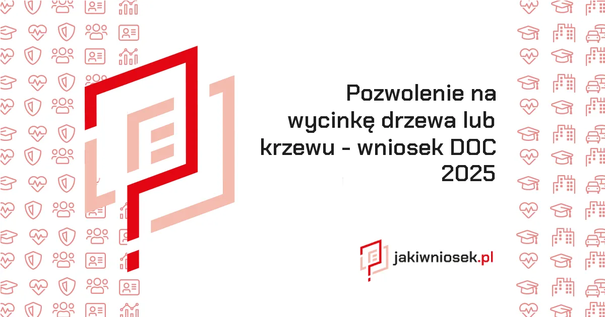 Zdjęcie Procedura uzyskania zezwolenia na wycinkę drzew – podanie