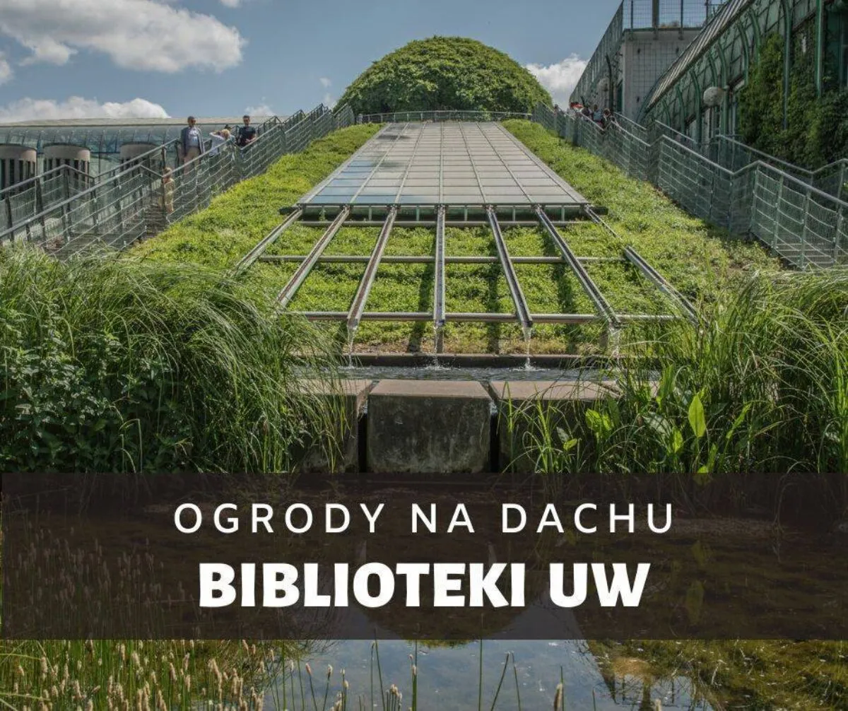 Zdjęcie Ogród na dachu biblioteki uniwersytetu warszawskiego – piękno i spokój w sercu Warszawy
