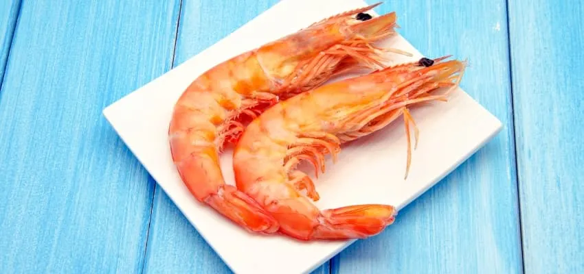 Zdjęcie Diferencia entre gambas y langostinos: características que no conocías