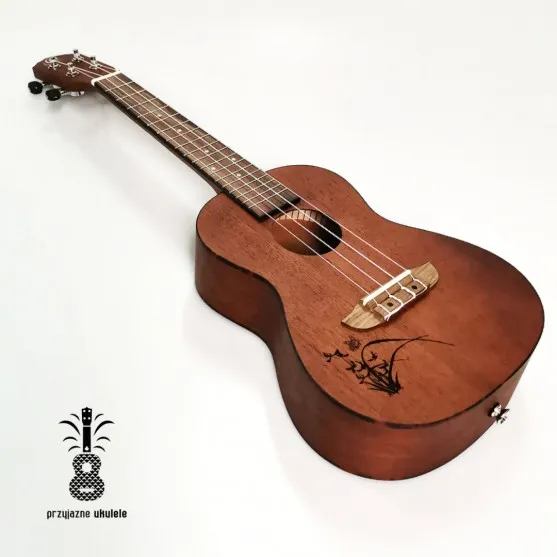 Zdjęcie Ukulele dla leworęcznych: kluczowe różnice, które musisz znać