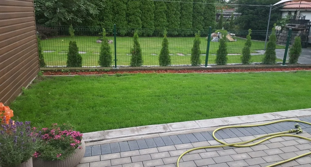 Zdjęcie Jak skutecznie założyć nowy trawnik na starym i uniknąć błędów