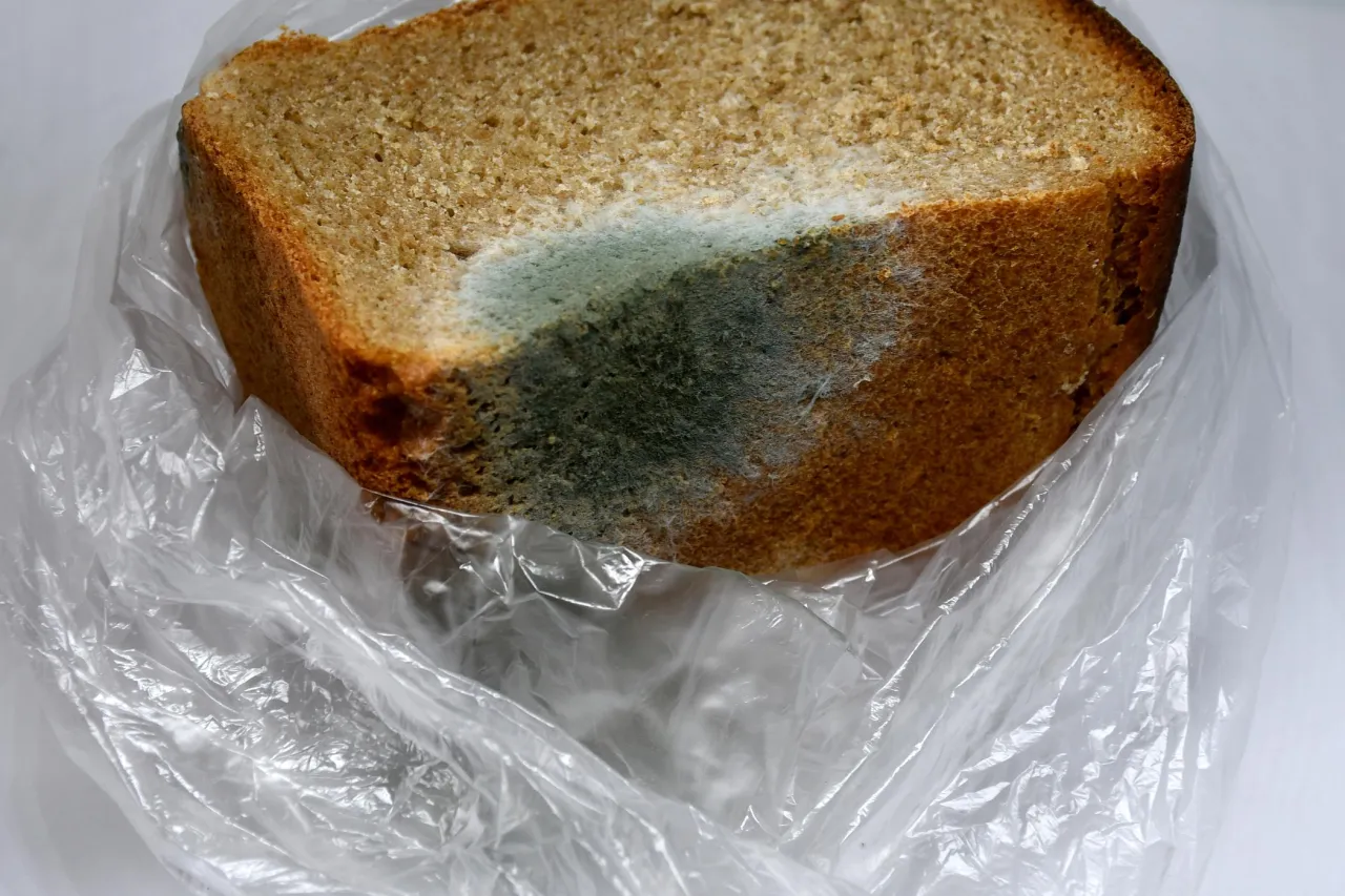 Spleśniały chleb zagrożenia zdrowotne