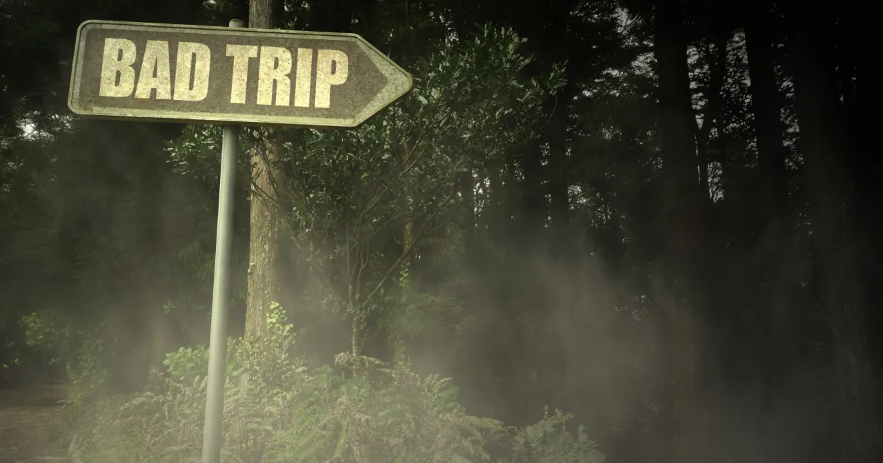 Bad trip grzyby halucynogenne