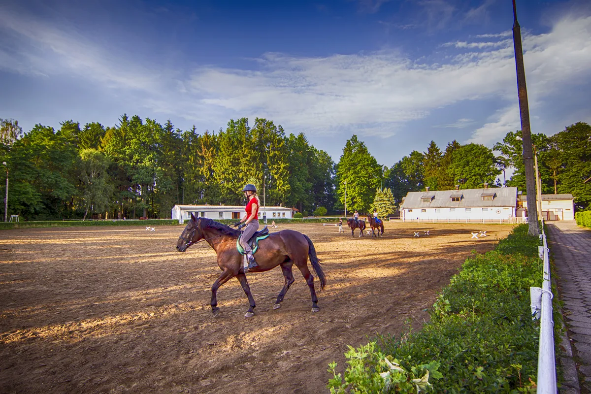 student na zajęciach z końmi UWM Olsztyn