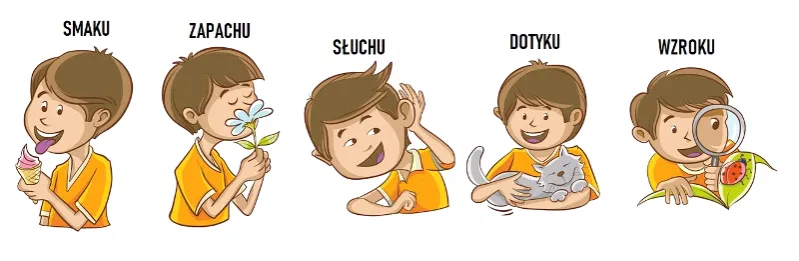 zmysły dziecka integracja sensoryczna grafika