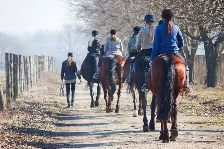 Jeździec na koniu w ruchu drogowym
