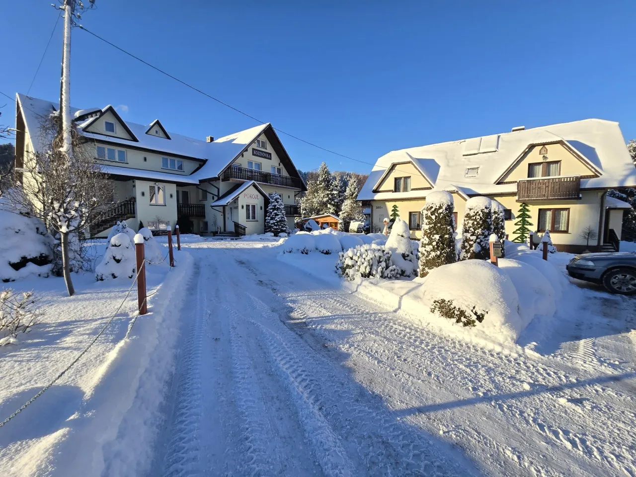Zimowy krajobraz z pensjonatami 