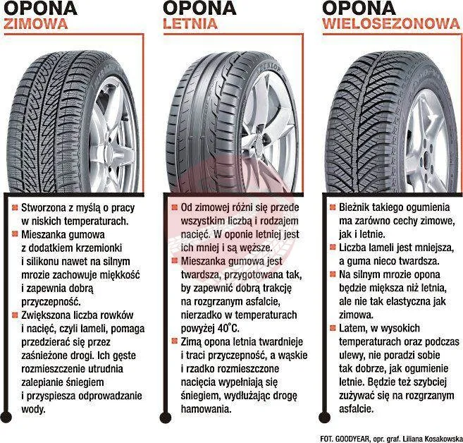 Porównanie opon letnich i zimowych na asfalcie